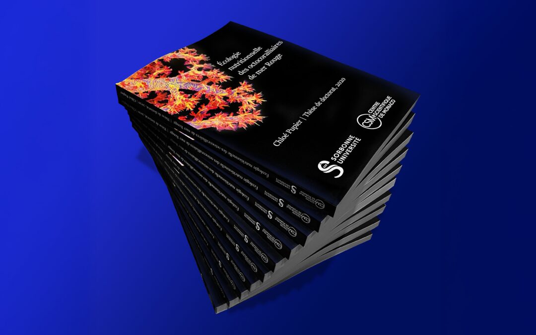 Guide de la mise en page : APA, Chicago, ISO et préparation à l&rsquo;impression