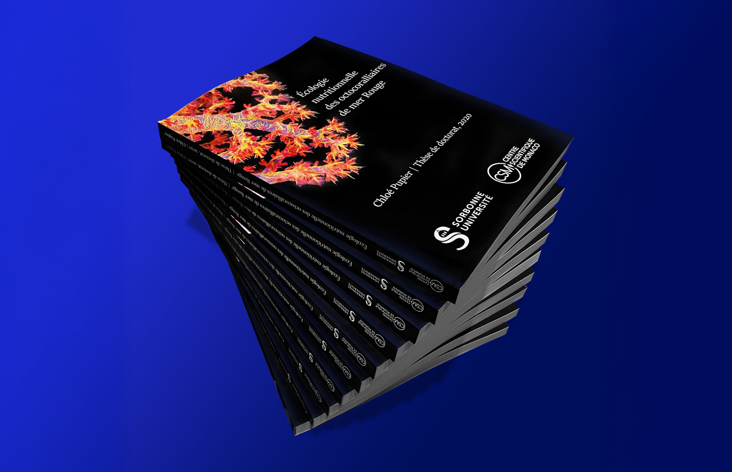 Guide de la mise en page : APA, Chicago, ISO et préparation à l&rsquo;impression